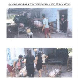 DAAL Kirim Surat Terbuka ke Gubernur Lampung, Terkait Pekerja WNA di PT.San Xiong Steel Indonesia Bikin Resah Masyarakat !