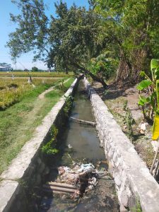 Pemerintah Desa Kedungringin, Proses Merelokasikan Dana Desa Tahun 2025 Untuk Drainase