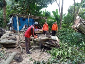 Bismillah Bisa !! Melalui BPBD Lampung Selatan, Bupati Egi Menyalurkan Bantuan Asbes Kepada Warga Korban Atap Rumah Roboh di Desa Maja