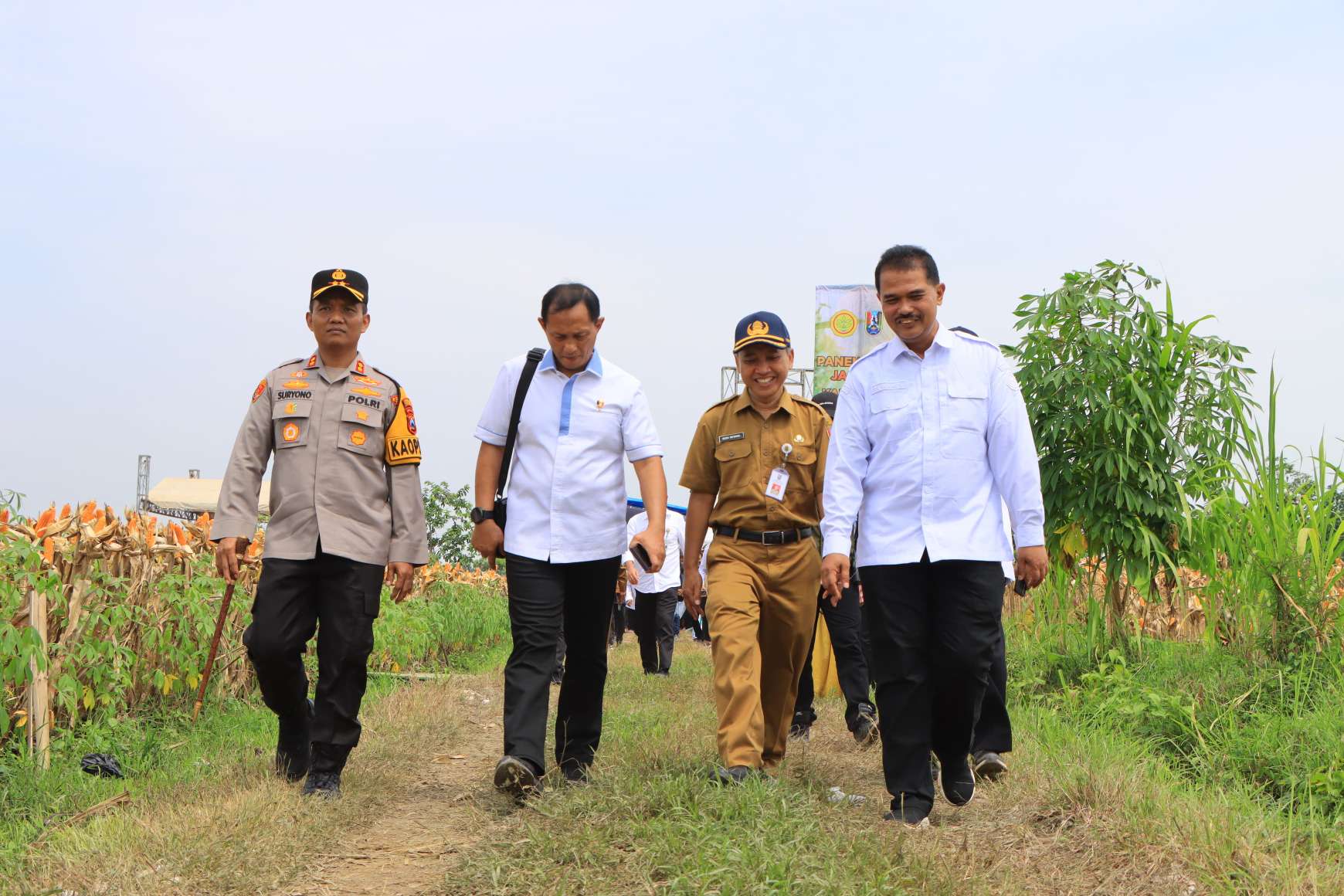 Kapolres Tuban Dampingi Kementan Pertanian Tinjau Panen Jagung di Tuban Kapolres Tuban Dampingi Kementan Pertanian Tinjau Panen Jagung di Tuban