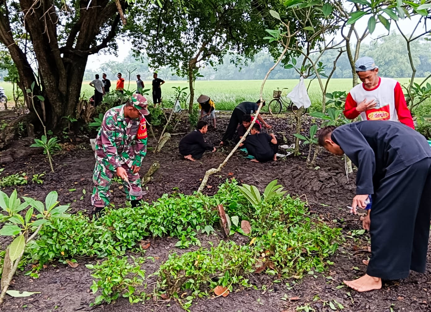 Sambut Ramadhan, Babinsa Koramil Sumberrejo Bojonegoro dan Warga Kedungrejo Bersih-Bersih Area Makam Sambut Ramadhan, Babinsa Koramil Sumberrejo Bojonegoro dan Warga Kedungrejo Bersih-Bersih Area Makam