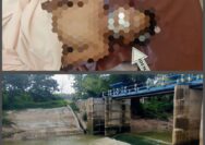 Seorang Anak Umur 10 Tahun Meninggal Dunia Karena Tenggelam di Sungai