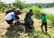 Sukseskan Program Pompanisasi Kementan, Babinsa Kodim Bojonegoro dikerahkan Dampingi Petani