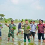 Tanam Bersama, Lapas Lamongan Launching Penanaman Padi Organik Varietas Unggul