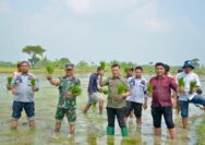 Tanam Bersama, Lapas Lamongan Launching Penanaman Padi Organik Varietas Unggul