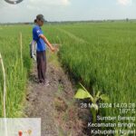 Garis Police Line di TKP Hilang Tanpa Arah, Keluarga Korban Jebakan Tikus di Ngawi di Lilit Kecurigaan 