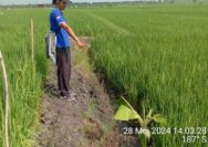 Garis Police Line di TKP Hilang Tanpa Arah, Keluarga Korban Jebakan Tikus di Ngawi di Lilit Kecurigaan 