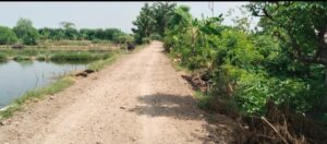 Anggaran Perkejaan Jalan Usaha Tani (JUT)dan Tumpukan Material Batu Belah Diduga Ditilep Dinilai Tidak Sesuai Volume