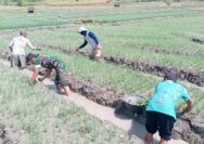 Dukung Ketahanan Pangan, Babinsa Posramil Gondang Bojonegoro bantu Petani Tanam Cabai