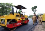 Dinas PUPR Lamsel Target Perbaikan Jalan Rusak Rampung pada 2025-2026