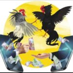 Lapor Jendral...!! Kalangan Judi Sabung Ayam Dan Dadu Kopyok Kembali Marak Di Kediri, Disinyalir Ada Oknum Yang Membekingi!!