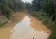 Sungai Kali Kening Keruh, Diduga Imbas Limbah Cucian Pasir Parengan