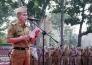 Ini Sederet Penghargaan yang Diraih Pemkab Lampung Selatan Era Nanang Ermanto Tahun 2024