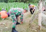Jelang Tradisi Nyadran, Babinsa Koramil Ngambon Bojonegoro bersih-bersih Desa