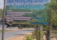 CV. Lisa yang Legal Bergerak di Bidang Pengolahan Lahan Pertanian Menjadi Wujud Bagi Petani Desa Sumberejo