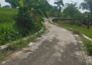 Pemasangan Paving Jalan Usaha Tani Desa Semut Dusun Semut kedol.Tahap pertama Selesai
