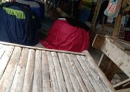 Perjudian Ayam, di Kabupaten Sampang Madura Masih Beraktivitas Seperti Biasa Seperti Kebal Hukum