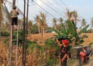 Meminimalisir Terjadinya Tindak Kejahatan, Kelurahan Wai Lubuk Perbaikan LPJU
