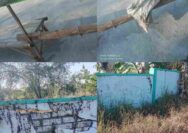 Diduga Kualitas Buruk, Proyek Rabat Beton dan Pagar Makam di Desa Ngujugrejo Ambyar