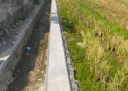 Pembangunan Tingkatkan Pengairan Persawahan, Desa Keper kecamatan Krembung Lakukan proyek Saluran Irigasi persawahan