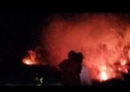 Kebakaran Lahan Pertambakan di Merak Belantung, Damkarmat Lamsel Berhasil Memadamkan Api