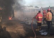 Gudang Penimbun BBM di Hajimena Natar Kebakaran, Anggota Damkarmat Lamsel Bergegas Memadamkan Api