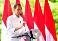 Presiden Jokowi Apresiasi TNI-Polri Atas Kebebasan Pilot Susi Air