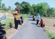 Pembangunan Pengaspalan Dana Desa Dusun Randugugut Telah Selesai Tahap 1 Jalan Menuju ke SD