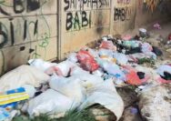 Kurang Kesadaran, Warga Buang Sampah di Bahu Jalan RA Basyid Desa Karang Sari