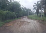 Tambang Galian C, CV. Pagar Gunung Memberikan Dampak Kerusakan Lingkungan dan Infrastruktur