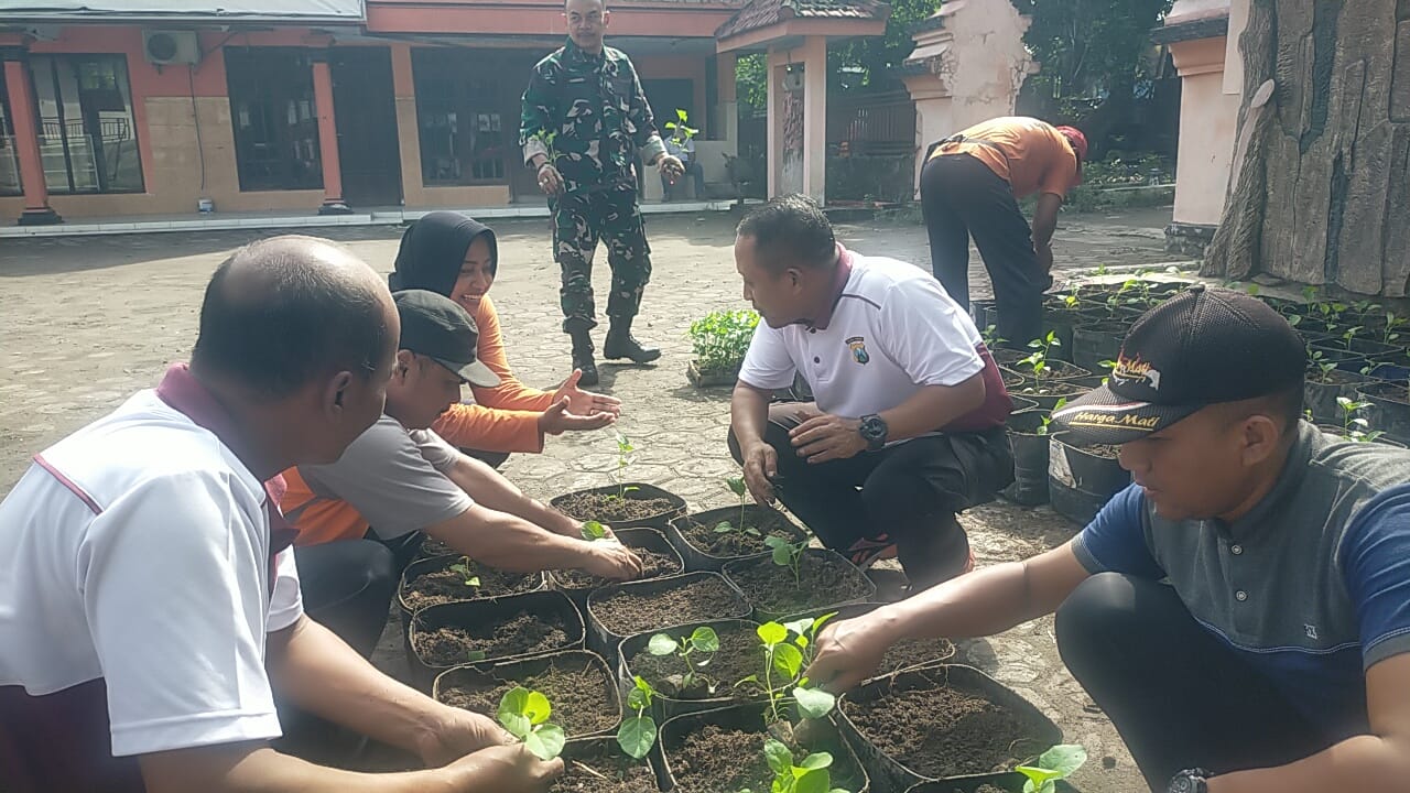 Wujudkan Asta Cita Polisi dan TNI bersama Warga Kota Mojokerto Gelorakan Swasembada Pangan Wujudkan Asta Cita Polisi dan TNI bersama Warga Kota Mojokerto Gelorakan Swasembada Pangan
