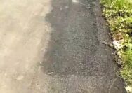 Horee... Pekerjaan Pengaspalan Jalan di Desa Tegal Sambi Jepara disebut Warganya Asal Asalan Satu Bulan Sudah Remuk