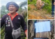3 Bulan Dilaporkan, Pengrusakan Kebun Sawit di Batang Gansal Tak Kunjung Usai