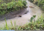 Bangunan Draenase di Desa Ujung Watu Donorojo Jepara 100 Persen Zonk!!