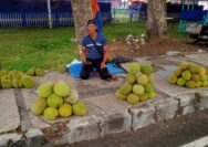 Musim Belum Berakhir, Kota Kalianda Menjadi Surga Bagi Pencinta Durian