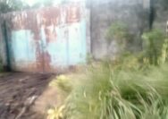 Mafia Solar Ilegal Brando Beraksi Lagi di Manado