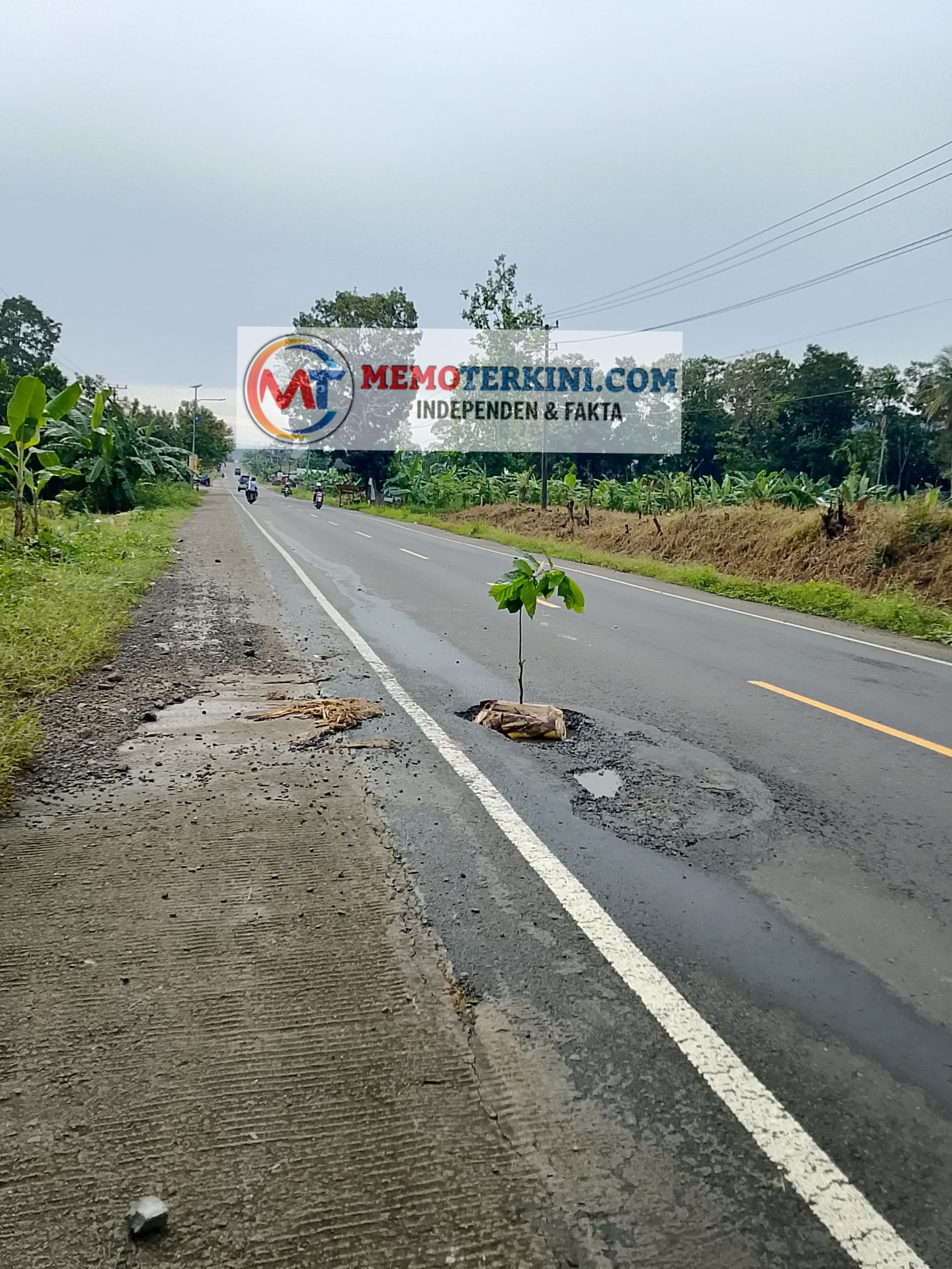 Lapor Pak Gubernur Lampung, Lobang di Jalan Lintas Sumatera di Desa Kuripan Banyak Menelan Korban, Harap Diperbaiki !! Lapor Pak Gubernur Lampung, Lobang di Jalan Lintas Sumatera di Desa Kuripan Banyak Menelan Korban, Harap Diperbaiki !!