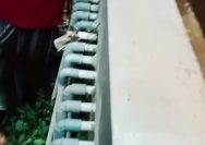 Warga Desa Tempuran Geram, Dugaan Penyelewengan Dana Desa Dilaporkan Ke Polres Pasuruan