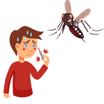 Respon Baik, Pemdes Jondong Akan Segera Bertindak Pencegahan DBD Secepatnya