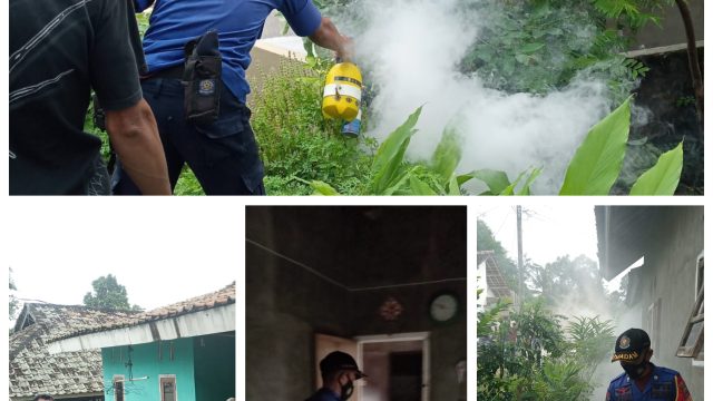 Cegah DBD ! Pemdes Jondong Gandeng Tim Damkarmat Lamsel Melakukan Fogging di Ratusan Rumah Warga