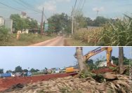 Aktivitas Tanah Urug Diduga Ilegal untuk Proyek JIPPE di Desa Lowoayu Resahkan Warga