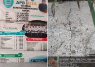 Rabat Beton di Lamongan Rusak Sebulan Setelah Dibangun, Warga Merasa Dirugikan