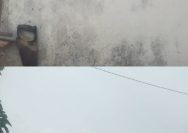 Pemdes Kendalsewu Bangun Mushollah Didepan Balai Desa Dengan Anggaran (BK )2025