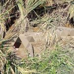 Geger Penemuan Mayat Wanita di Tuban Kepala Tertimbun Lumpur