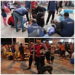 Polda Jatim Bersama Polres Sumenep Gelar Razia Gabungan di Pelabuhan Kalianget, Cegah Peredaran Narkoba Antar Pulau