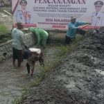 PENCANANGAN BULAN BAKTI GOTONG ROYONG MASYARAKAT (BBGRM XXI) DESA BANJARSARI, Minggu 1/6/2025 PENCANANGAN BULAN BAKTI GOTONG ROYONG MASYARAKAT (BBGRM XXI) DESA BANJARSARI, Minggu 1/6/2025