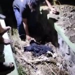 Ungkap Kasus Pembunuhan di Gempol, Polres Pasuruan Tangkap Pelaku Dalam Hitungan Jam
