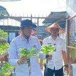 Hidroponik Bersemi di Lapas Kalianda, Kalapas Pimpin Panen Pakcoy Hidroponik Bersemi di Lapas Kalianda, Kalapas Pimpin Panen Pakcoy