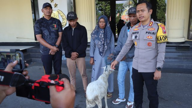 Polres Bondowoso Amankan Tersangka Curwan, Barang Bukti Kambing Diserahkan Kembali ke Pemilik