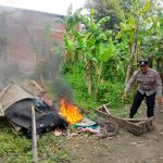 Respon Cepat Pengaduan Masyarakat Polisi Bongkar Arena Sabung Ayam di Sidoarjo Respon Cepat Pengaduan Masyarakat Polisi Bongkar Arena Sabung Ayam di Sidoarjo